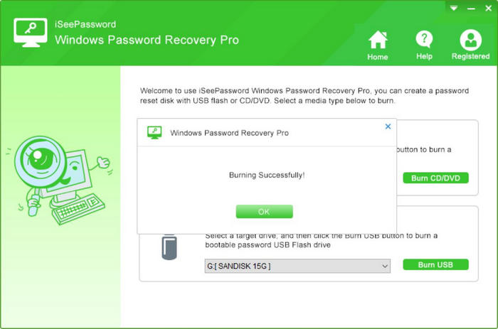 iseepassword windows password recovery pro burning