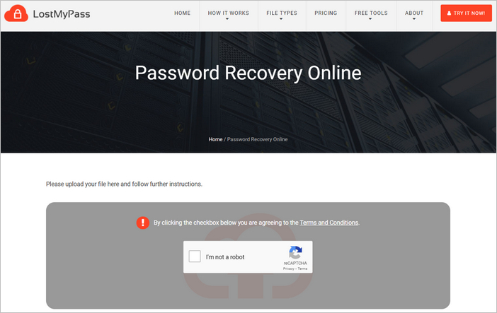 password recovery online