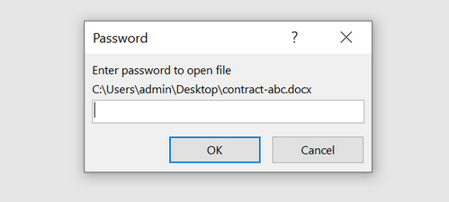 open password protected word file