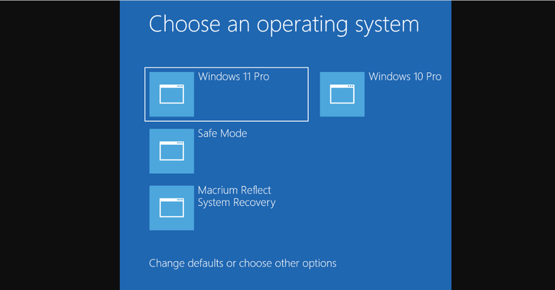 choose os windows 11 boot